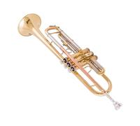 Standard Brass Brass trumpet instrument B flat silver plated trumpet beginner level trumpet
