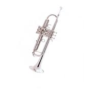 Standard Brass College student trumpet B flat beginner grade examination performance band adult brass instrument(Color:Gold)