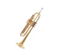 Standard Brass College student trumpet B flat beginner grade examination performance band adult brass instrument(Color:Silver)