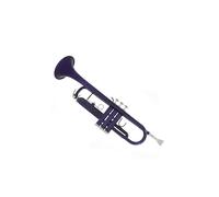Standard Brass Dark blue with accessories Bb flat horn exquisite brass instrument trumpet trumpet with box mouthpiece