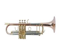 Standard Brass Double-pillar phosphor bronze trumpet trumpet instrument in B flat for beginners to play professional wind instruments