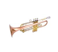 Standard Brass Easy to play trumpet B flat phosphor bronze trinote professional school music team