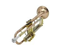 Standard Brass Easy to play trumpet flat instrument brass students