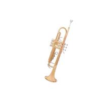 Standard Brass Entry-level trumpet instrument in B flat student school orchestra adult beginners grade examination