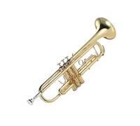 Standard Brass Flat brass gold-plated exquisite and durable musical instrument with mouthpiece gloves and box