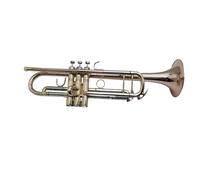 Standard Brass For Beginners Students Concert Performers Trumpet Bb Brass Instrument Professional With Box Accessories