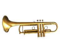 Standard Brass Gold Trumpet B Flat Vintage With Box Two Mouthpieces Gloves And Accessories