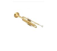 Standard Brass Golden trumpet in B flat lacquer gold brass two-color optional band performance for adult students beginners