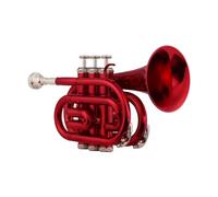 Standard Brass Handheld Trumpet Portable Pocket Trumpet Adult Student Professional Performance Orchestra Orchestra Mini Pocket Trumpet