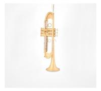 Standard Brass Heavy duty trumpet brushed gold B flat trumpet instrument band performance professional examination
