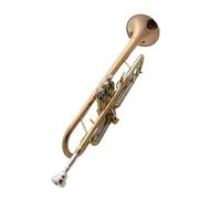 Standard Brass High-end trumpet B flat trumpet instrument professional performance teaching solo grading