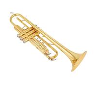 Standard Brass High Quality Trumpet Bb B Flat Brass Instrument Exquisite Mouthpiece Gloves (Color : Gold)