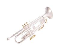 Standard Brass High Quality Western Wind Instrument Bb Trumpet B Flat Brass Silver Plated Instrument with Leather Casev(Color:1)