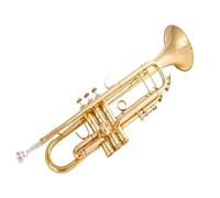 Standard Brass High Quality Western Wind Instrument Bb Trumpet B Flat Brass Silver Plated Instrument with Leather Casev(Color:2)