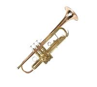 Standard Brass Intermediate phosphor bronze trumpet wind instrument Intermediate trumpet B flat exquisite trumpet