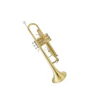 Standard Brass Lacquer gold trumpet instrument professional trumpet beginner performance level B flat