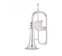 Standard Brass Master silver-plated B-flat horn instrument for professional performance