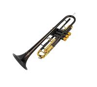 Standard Brass New Bb Trumpet Black Nickel Engraved Professional Brass Instrument with Case