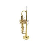 Standard Brass Nickel plated small B flat lacquered gold