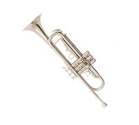 Standard Brass Nickel-plated trumpet flat three-note trumpet for beginners with complete accessories