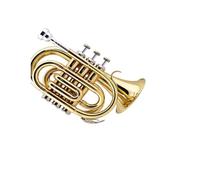 Standard Brass Palm portable trumpet in B flat pocket cornet brass band playing adult student instrument lacquer gold