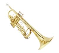 Standard Brass Performance exam teaching entry-level professional trumpet instrument in B flat