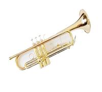 Standard Brass Phosphor bronze horn trumpet wind instrument intermediate trumpet exquisite trumpet in B flat