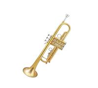 Standard Brass Phosphor bronze mouthpiece trumpet in B flat beginners grade test