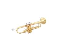 Standard Brass Phosphor bronze mouthpiece wind instrument entry-level trumpet school orchestra home self-study for beginners