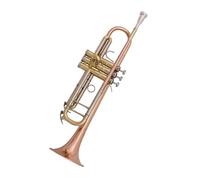Standard Brass Phosphor bronze trumpet and white copper tuning tube B flat three-note trumpet for beginners and professional performance