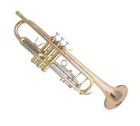 Standard Brass Phosphor bronze trumpet trumpet instrument in B flat for beginners to take the test with flexible keys
