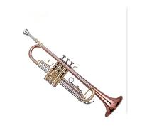 Standard Brass Phosphor Bronze Weighted Trumpet B-flat Style Beginner Examination Professional Silver-plated Trumpet Instrument