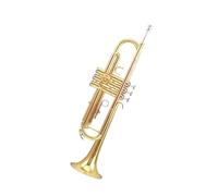 Standard Brass Phosphorus brass trumpet instrument B flat trumpet lacquer gold brass instrument for beginners to play