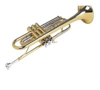 Standard Brass Professional adult student grade examination school band original + textbook accessories complete