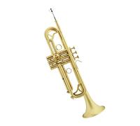 Standard Brass Professional B flat trumpet instrument brass instrument performance cornet western wind instrument