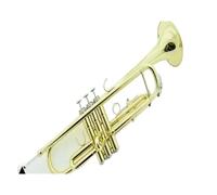 Standard Brass Professional brass Bb trumpet brass gold paint trumpet with box mouthpiece