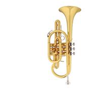 Standard Brass Professional brass tube body B flat lacquered gold three-key trumpet