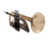Standard Brass Professional musical instrument B flat plastic trumpet Western wind instrument trumpet professional performance