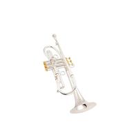 Standard Brass Professional performance-grade TR800 gold-copper brushed silver-plated trumpet in B flat trumpet instrument(Color:Silver)
