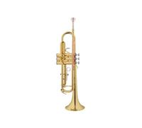 Standard Brass Professional Playing Trumpet Lead-Free Soldering Adult Orchestral Instrument B Flat Trumpet