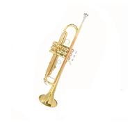 Standard Brass Professional teaching of B flat three-tone trumpet instrument students for adult beginners' grade examination