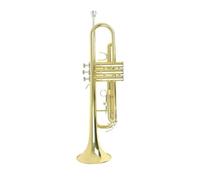 Standard Brass Professional trumpet brass material music trombone wind instrument accessories with mouthpiece strap box