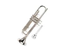 Standard Brass Professional trumpet brass music trombone wind instrument strap case (Color : Silver)