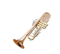 Standard Brass Professional trumpet instrument for beginners playing level children and adults B flat lacquered gold