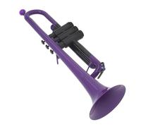 Standard Brass Purple Professional Playing Plastic Brass Instrument B Flat Trumpet Beginner Test