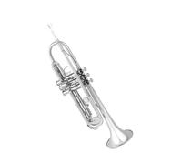 Standard Brass Recommended trumpet orchestra for beginners to take the B-flat trumpet for professional performance
