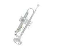 Standard Brass Silver B-key trumpet brass tube student beginner professional playing brass instrument trumpet
