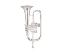 Standard Brass Silver Beginner Performance Test B flat Trumpet Instrument Phosphor Bronze Silver Plated Model