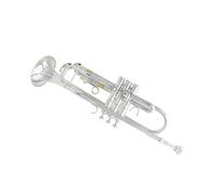 Standard Brass Silver large diameter trumpet Bb flat horn exquisite brass instrument trumpet box mouthpiece