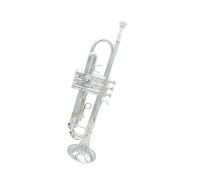 Standard Brass Silver orchestra party trumpet set brass with accessories trumpet exquisite brass